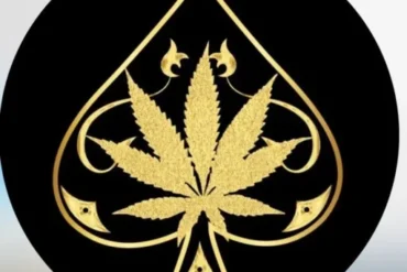 ace ultra premium logo