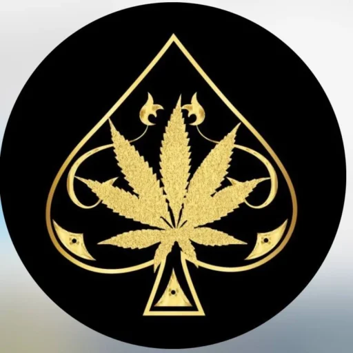 ace ultra premium logo