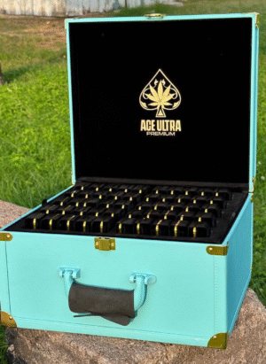 Ace Ultra Rolex Edition Box