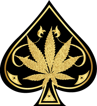 Aceultrapremium.online