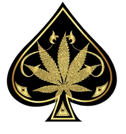 Aceultrapremium.online